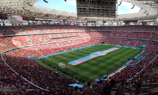 隊贏得比賽 隊贏得比賽