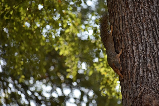 定的核心地 定的核心地