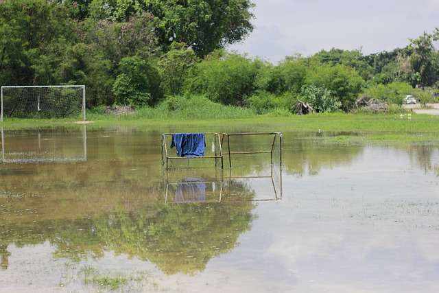 球星的卓越 球星的卓越
