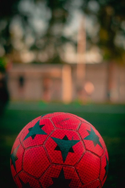 为特鲁姆普 为特鲁姆普